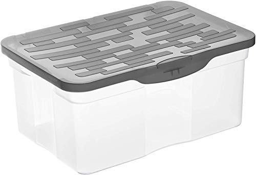 Rotho Ranger Aufbewahrungsbox 13l mit Deckel, Kunststoff (PP) BPA-frei, anthrazit, A4/13l (39.0 x 27.0 x 17.5 cm) von Rotho