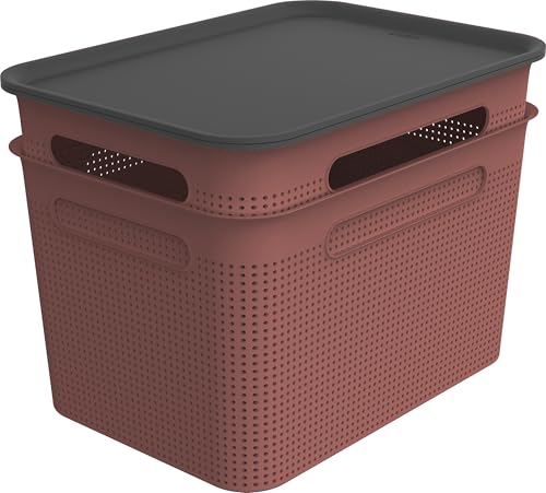Rotho Brisen 2er-Set Aufbewahrungsbox 16l mit Deckel, Kunststoff (PP recycelt), 2 x 16 Liter, (36,5 x 26,5 x 21,4 cm) (Rot) von Rotho