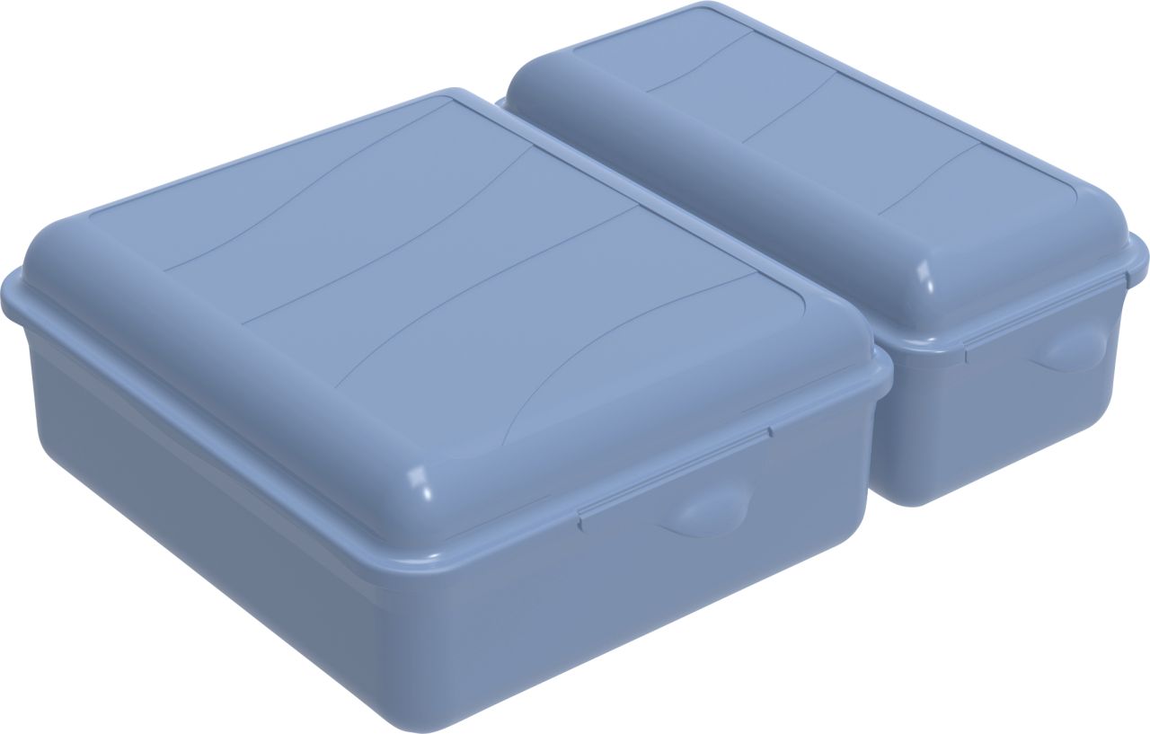 Rotho Brotdose Twin 1,05 l + 0,55 l, 22 x 16 x 7 cm, blau von Rotho