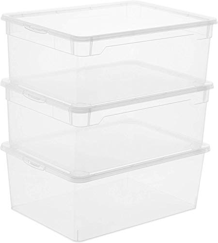 Rotho Clear 3er-Set Aufbewahrungsbox 10l mit Deckel, Kunststoff (PP) BPA-frei, transparent, 3 x 10l (36.0 x 26.0 x 14.0 cm) von Rotho