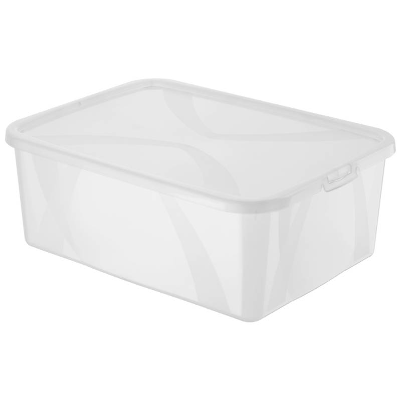 Rotho Clear Box Arco Men Shoe Transparent 10 l von Rotho