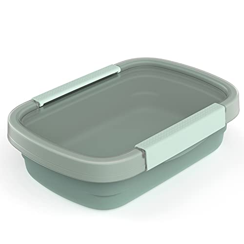 Rotho Clic Eco 1er-Set Frischhaltedosen, lebensmittelechter Kunststoff (PP) BPA-frei, grün/transparent, 0.8l (22.0 x 15.0 x 6.1 cm) von Rotho