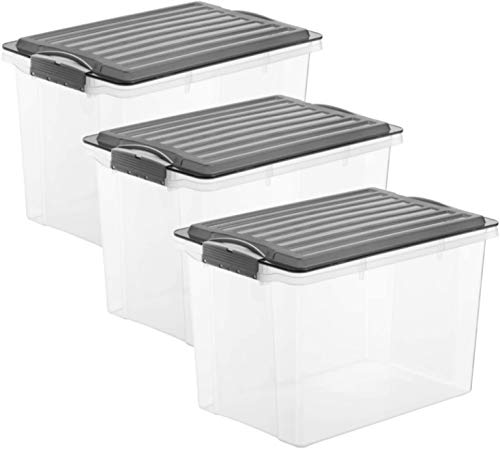 Rotho Compact 3er-Set Aufbewahrungsbox 19l mit Deckel, Kunststoff von Rotho