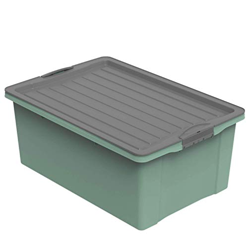 Rotho Compact Aufbewahrungsbox 38l mit Deckel, Kunststoff (PP recycelt) BPA-frei, grün/anthrazit, A3/38l (57.0 x 40.0 x 25.0 cm) von Rotho