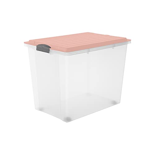 Rotho Compact Aufbewahrungsbox 70l mit Deckel, Kunststoff (PP) BPA-frei, , 70l (57.0 x 39.5 x 43.5 cm) von Rotho