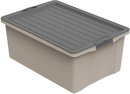 Rotho Compact Aufbewahrungsbox 38l mit Deckel, Kunststoff (PP recycelt) BPA-frei, cappuccino/anthrazit, A3/38l (57.0 x 40.0 x 25.0 cm) von Rotho