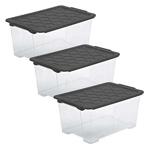 Rotho Evo Safe Keeping 3er-Set Aufbewahrungsbox 44l mit Deckel, lebensmittelechter Kunststoff (PP) BPA-frei, transparent/anthrazit, 3x44l, (59 x 39,5 x 59 cm), 3 von Rotho