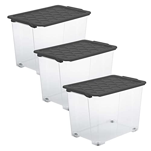 Rotho Evo Safe Keeping 3er-Set Aufbewahrungsbox 65l mit Deckel, lebensmittelechter Kunststoff (PP) BPA-frei, transparent/anthrazit, 3x65l, (59 x 39,5 x 41,2 cm), 3 von Rotho