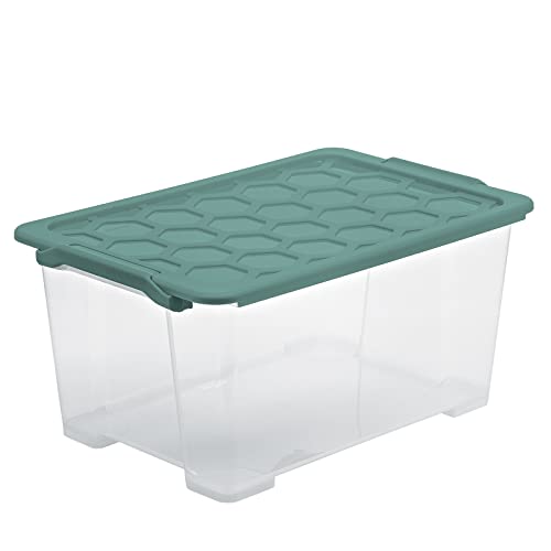 Rotho Evo Safe Keeping Evo safe keeping Aufbewahrungsbox 44l mit Deckel, lebensmittelechter Kunststoff (PP) BPA-frei, transparent/türkis, 44l (59.0 x 39.5 x 28.0 cm) von Rotho