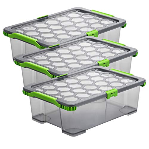 Rotho Evo Total Protection 3er-Set Aufbewahrungsbox 30l mit Deckel, lebensmittelechter Kunststoff (PP) BPA-frei, anthrazit/transparent, (59,0 x 39,5 x 18,5 cm), 59 x 39 von Rotho