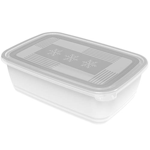 Rotho Freeze Gefrierbox 3.7l mit Deckel, Kunststoff (PP) BPA-frei, transparent, 3.7l (29.5 x 20.0 x 9.2 cm), Nicht zutreffend von Rotho