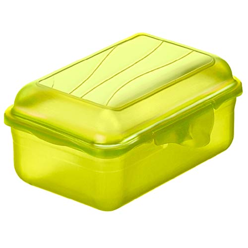 Rotho Fun Vesperdose 0.4l mit Klickverschluss, Kunststoff (PP) BPA-frei, grün, 0.4l (12.5 x 9.0 x 5.8 cm) von Rotho