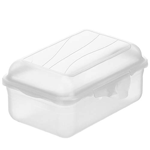 Rotho Fun Vesperdose 0.4l mit Klickverschluss, Kunststoff (PP) BPA-frei, transparent, 0.4l (12.5 x 9.0 x 5.8 cm) von Rotho