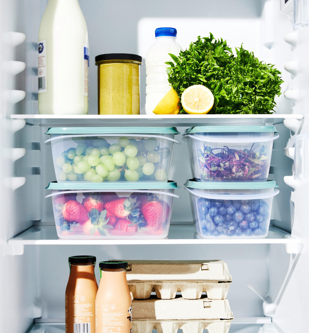 Rotho Kühlschrankdose Elements 2 L mistletoe grün von Rotho