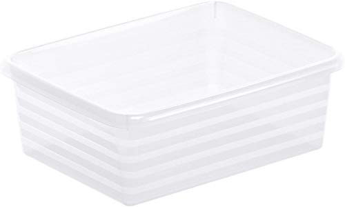 Rotho Linus Aufbewahrungsschale A6, Kunststoff (PP) BPA-frei, transparent, A6/4l (19.0 x 14.5 x 6.0 cm) von Rotho