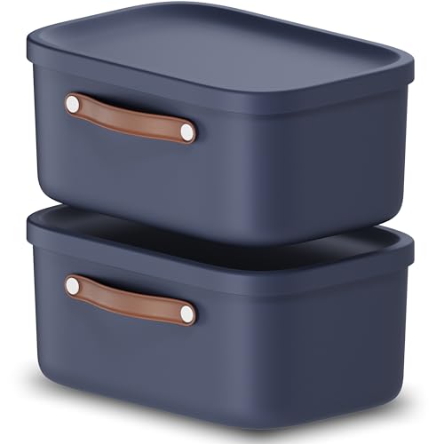 Rotho Maloja 2er-Set Aufbewahrungsbox mit Deckel 12 l, Kunststoff, blau, 12 (39.5 x 26.5 x 17.7 cm) (Blau) von Rotho
