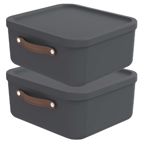 Rotho Maloja 2er-Set Aufbewahrungsbox mit Deckel 20 l, Kunststoff, anthrazit, 20 (39.5 x 38.0 x 17.7 cm) von Rotho