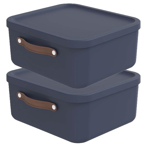 Rotho Maloja 2er-Set Aufbewahrungsbox mit Deckel 20 l, Kunststoff, blau, 20 (39.5 x 38.0 x 17.7 cm) von Rotho