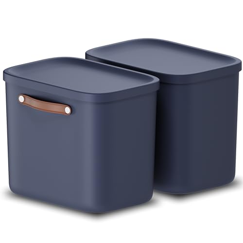 Rotho Maloja 2er-Set Aufbewahrungsbox mit Deckel 25 l, Kunststoff, blau, 25 (39.5 x 26.5 x 34.0 cm) von Rotho