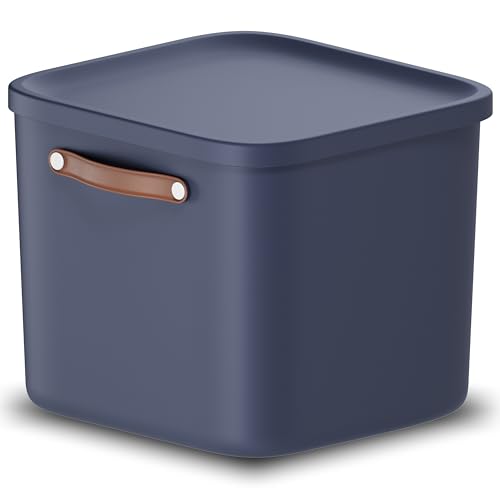 Rotho Maloja Aufbewahrungsbox 40 l, Kunststoff, blau, 40 (39.5 x 38.0 x 34.0 cm) von Rotho