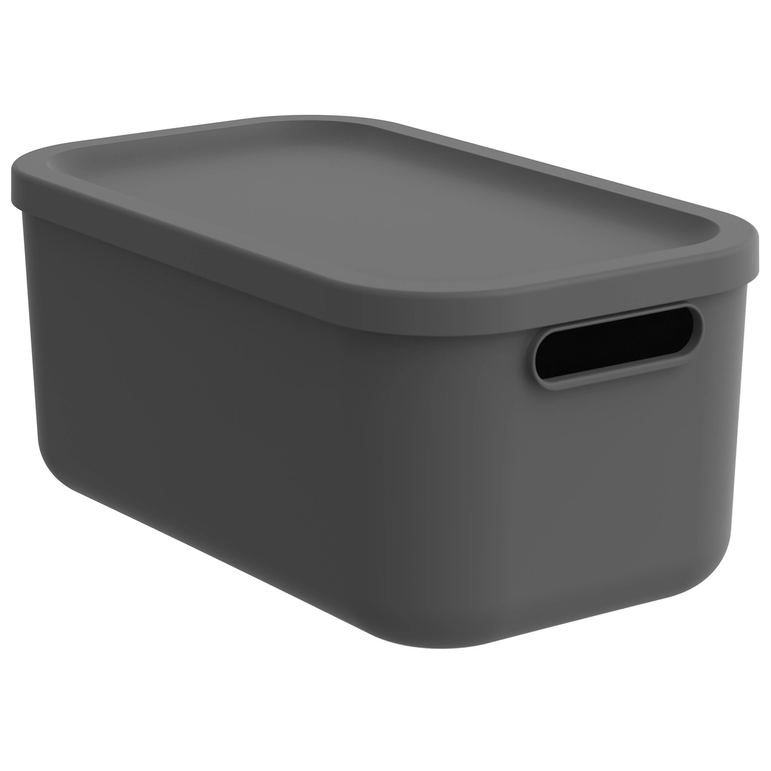 Rotho Multibox Albula 12, Anthrazit Rotho Multibox Albula 12, Anthrazit von Rotho