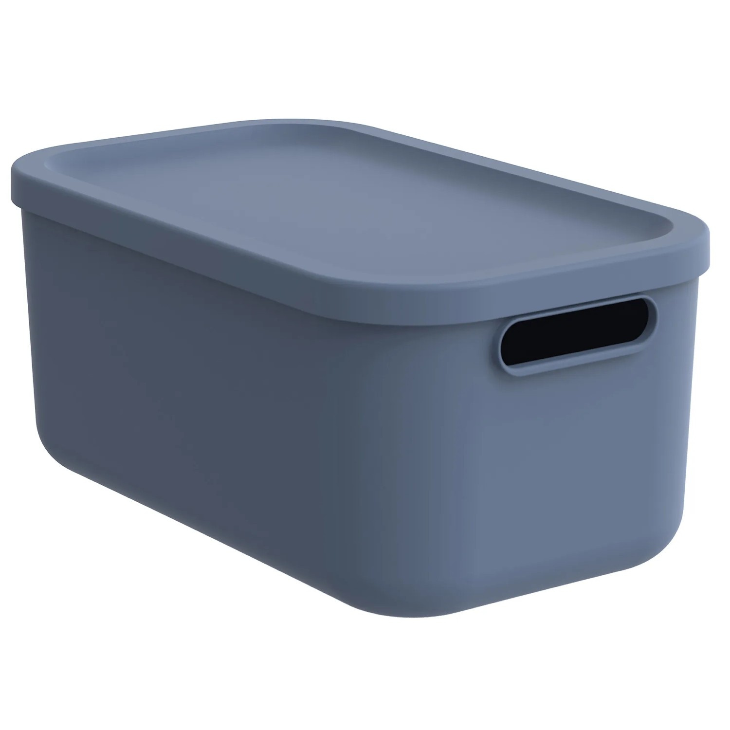 Rotho Multibox Albula 12, Horizontblau von Rotho