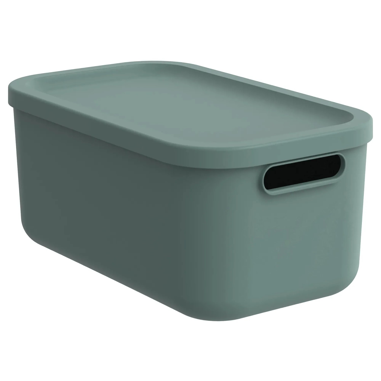 Rotho Multibox Albula 12, Mistletoe Green von Rotho