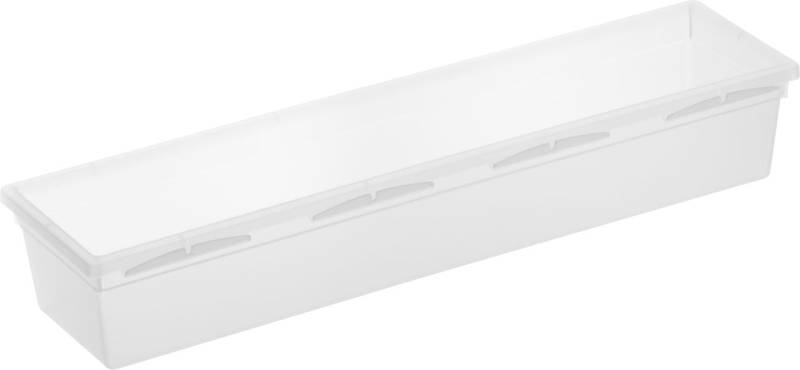 Rotho Ordnungssystem Basic 30 x 8 x 5 cm, transparent von Rotho