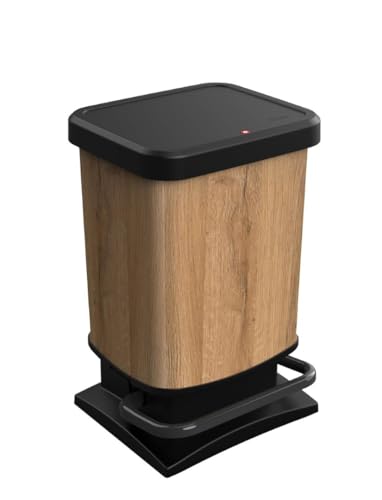 Rotho Paso Mülleimer 20l mit Deckel, Kunststoff (PP recycelt) BPA-frei, Holz, 20l (29.3 x 26.6 x 45.7 cm) von Rotho