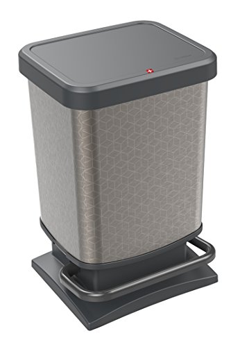 Rotho Paso Mülleimer 20l mit Pedal und Deckel, Kunststoff (PP) BPA-frei, silberhexagon, 20l (29.3 x 26.6 x 45.7 cm) von Rotho