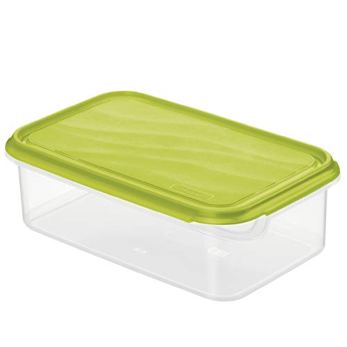 Rotho Rondo Frischhaltedose 1.5l mit Deckel, Kunststoff (PP) BPA-frei, transparent/grün, 1.5l (24.0 x 16.0 x 7.5 cm) von Rotho