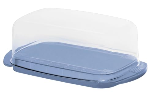 Rotho porta burro fresh blu in san verde von Rotho