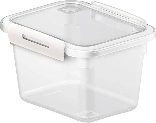 Rotho Memory rechteckige Frischhaltedose 0,85l mit Deckel, Kunststoff (PP) BPA-frei, transparent/weiss, 0,85l (15,0 x 12,0 x 9,5 cm) von Rotho
