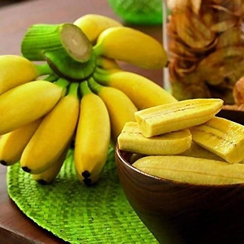 Rotyroya 1 Beutel Bananensamen, süßer Samen mit hoher Keimrate, Heimpflanzensamen für Balkon Bananen von Rotyroya