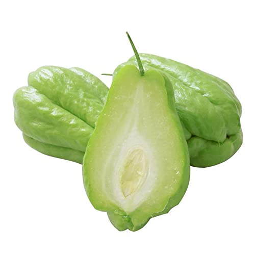 Rotyroya 20 Teile/Beutel Chayote-Samen, voller Vitalität, lange Lebensdauer, produktiver Gemüsegarten, Obstsamen für den Garten Chayote-Samen von Rotyroya