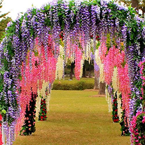 Rotyroya 50 Stück/Beutel Glyzinien-Samen, mehrjährige, gut blühende Kletterpflanzen, lila Glyzinien-Blumensamen für den Park Wisteria Sinensis-Samen von Rotyroya