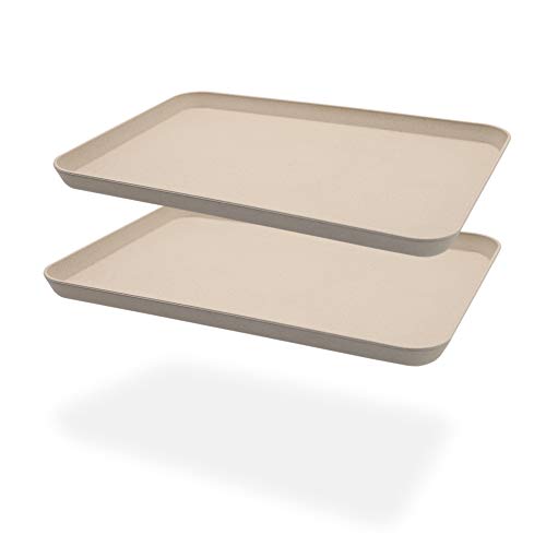 2 unzerbrechliche Serviertabletts aus, ideal für Abendessen, Teetablett, Betttablett, Bartablett, Frühstückstablett Essenstablett (beige) von Roucerlin