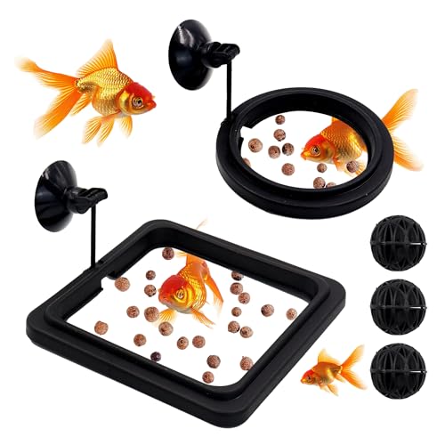 5 Stück Kunststoff Schwimmender Fisch-Futterring mit starkem Saugnapf & Filterball, Kleiner runder und quadratischer Betta Futterring, Aquarium Schildkröte Feeder für Goldfische Guppy Neon Tetra 5 Stück Kunststoff Schwimmender Fisch-Futterring mit starkem Saugnapf & Filterball, Kleiner runder und quadratischer Betta Futterring, Aquarium Schildkröte Feeder für Goldfische Guppy Neon Tetra von Roucerlin