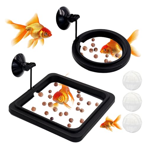 Schwimmender Fisch-Futterring aus Kunststoff mit starkem Saugnapf und Filterball, kleiner runder und quadratischer Betta-Futterring, wiederverwendbarer Aquarium-Schildkröten-Futterspender für von Roucerlin