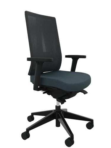 Rovo, XN, ergonomischer Bürostuhl mit Netzrückenlehne, Sitztiefenverstellung und höhenverstellbarer Lordosenstütze (Ohne Nackenstütze, grau) von Rovo Chair