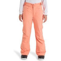 Roxy Snowboardhose "Backyard 10K" von Roxy