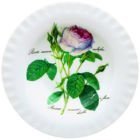 Suppenteller Redoute Rose Roy Kirkham 25cm von Roy Kirkham