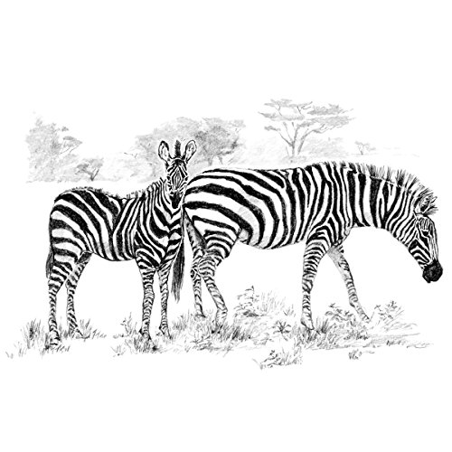 Royal Brush Verschiedene Skizzieren Made Easy groß Kit 16 x 12.75-inch, Zebras von Royal Brush
