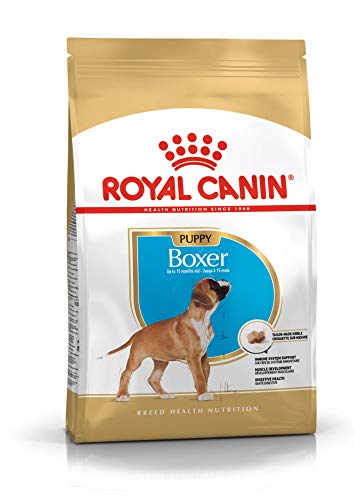 ROYAL CANIN Boxer Junior 3 kg, 1er Pack (1 x 3 kg) von ROYAL CANIN