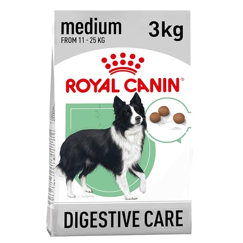 Royal Canin CCN Digestive Care Medium | 3kg | Alleinfuttermittel für Hunde | Für ausgewachsene und ältere mittelgroße Hunde (11 bis 25 kg) mit empfindlicher Verdauung | Trockenfutter von Royal Canin