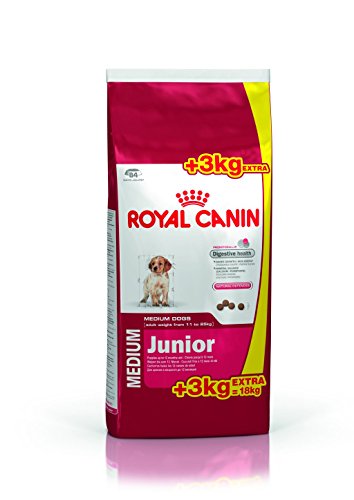 ROYAL CANIN Medium Adult 25 2 x 15kg Sparpaket von ROYAL CANIN