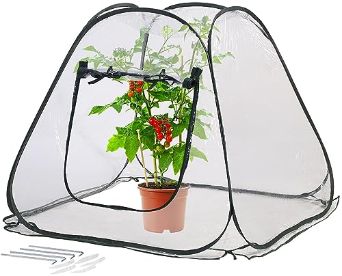 Royal Gardineer Pflanzenschutz: Kompaktes Pop-Up-Gewächshaus, klar, universal, 80 x 70 x 80 cm (Winterschutz-Zelt, Beistellgewächshaus, Winter) von Royal Gardineer