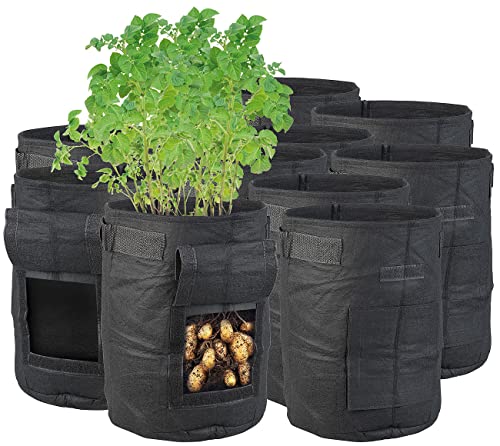 Royal Gardineer Tomatenpflanzsack: 10er-Set Pflanzen-Wachstumssäcke, je 10 l, Tragegriffe, Sichtfenster (Pflanzenwachstumssack mit Griffen, Balkonpflanztaschen, Kartoffel) von Royal Gardineer