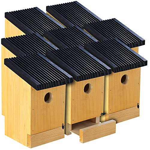 Royal Gardineer Holznistkasten: 8er-Set Tannenholz-Nistkästen für Wildvögel, 22x14x12 cm, vormontiert (Nistkasten zum Aufhängen, Vogelhaus Holz) von Royal Gardineer