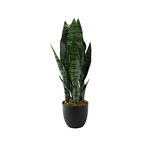 Royal Imports Künstliche Sansevieria-Blattpflanze, lebensechte Schlangenpflanze, künstlicher Schwiegermutter, Zungenbaum, dunkelgrün in dekorativem Pflanzgefäß, 48,3 cm hoch von Royal Imports